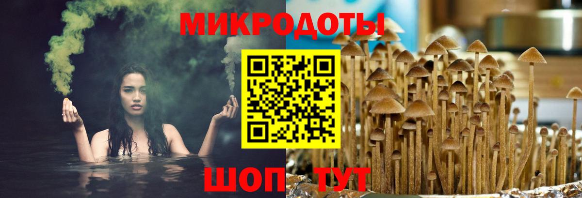 Псилоцибиновые грибы прущие грибы Лабинск